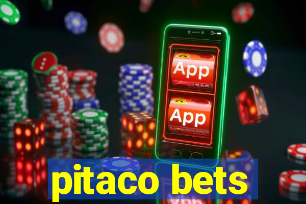 pitaco bets